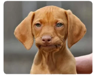 😐