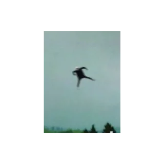 🌬️