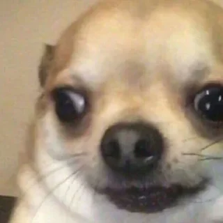 😳