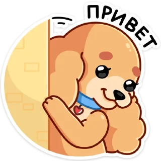 👋