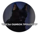 😿