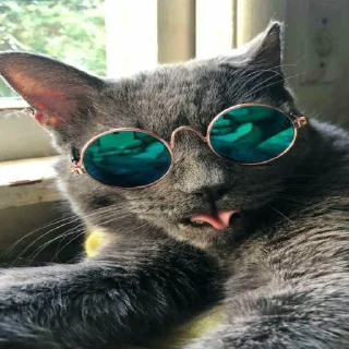 😎