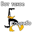 🙌