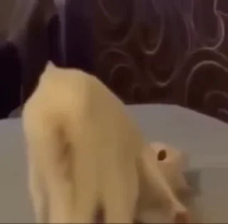 😳