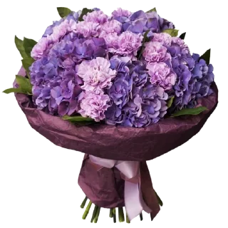 🌸