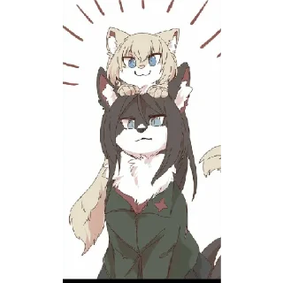 🐈