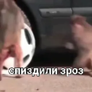 🤭