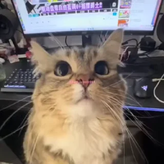 😚