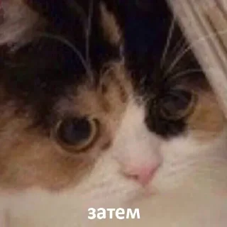 ⁉️