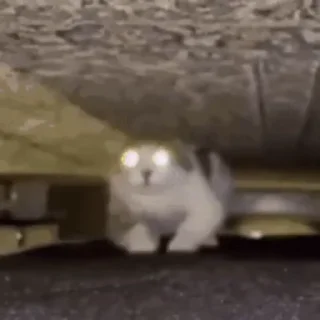 😱