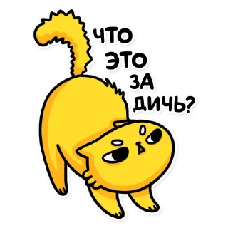 🫣