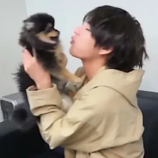 🐺