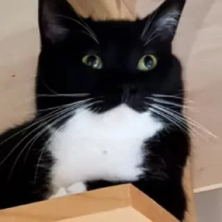 😉