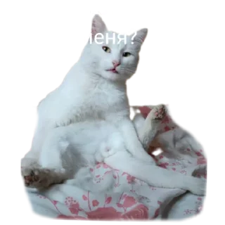 😒
