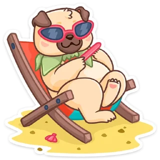 😎