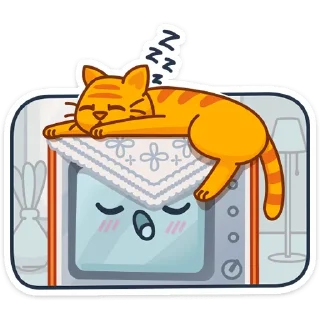 😴