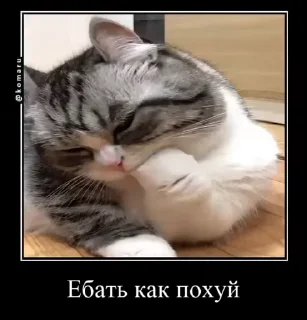 😘