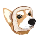🐶