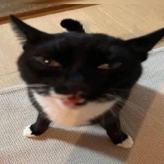 😡