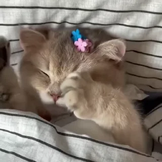 😊