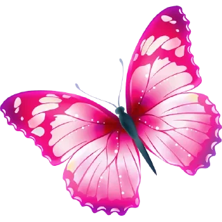 🦋