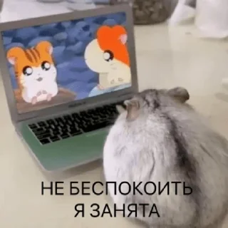 ❗️