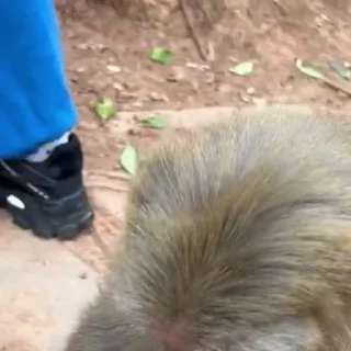 😂