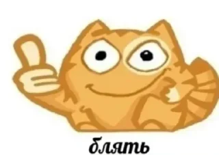 😎