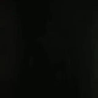 🦇