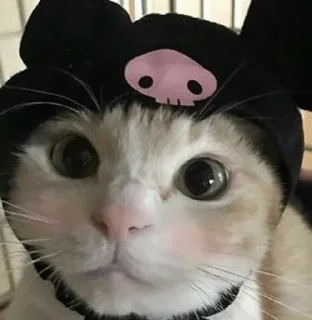 милота для нас :: @fStikBot
