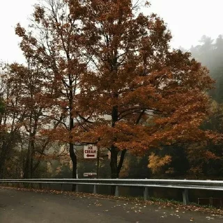 🍂