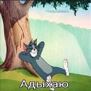 😾