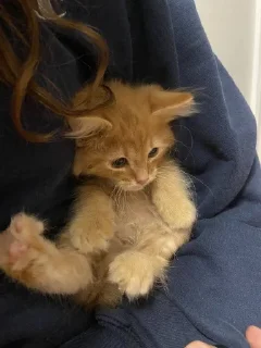 😇