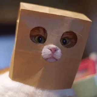 😳