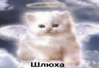 😇