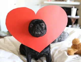 ❤️