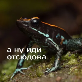 👋