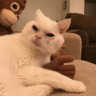🧐