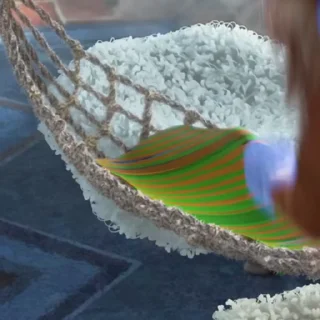 😴