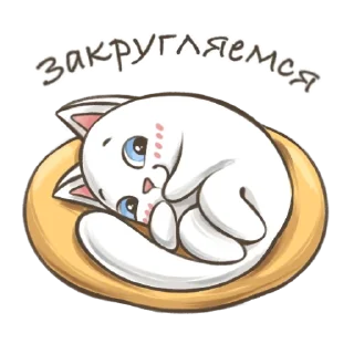 😴