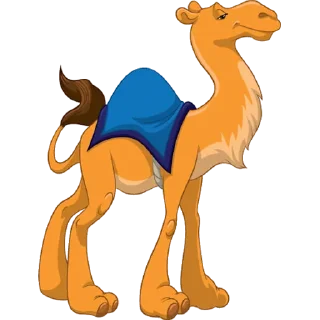 🐪