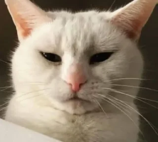 😒