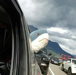 🛤