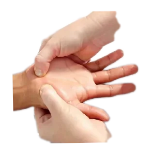 ✋