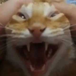 🤡