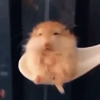 😣