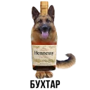 🐕