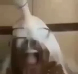 🥛