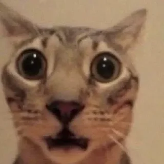 🫥