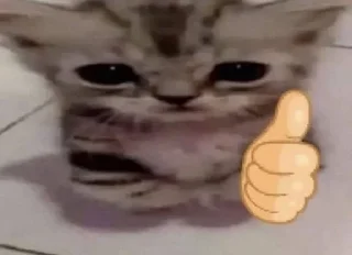 👍